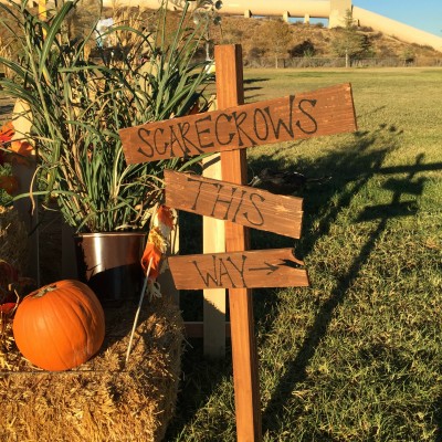 Favorite Fall Activities Across the US, Canada, and UK